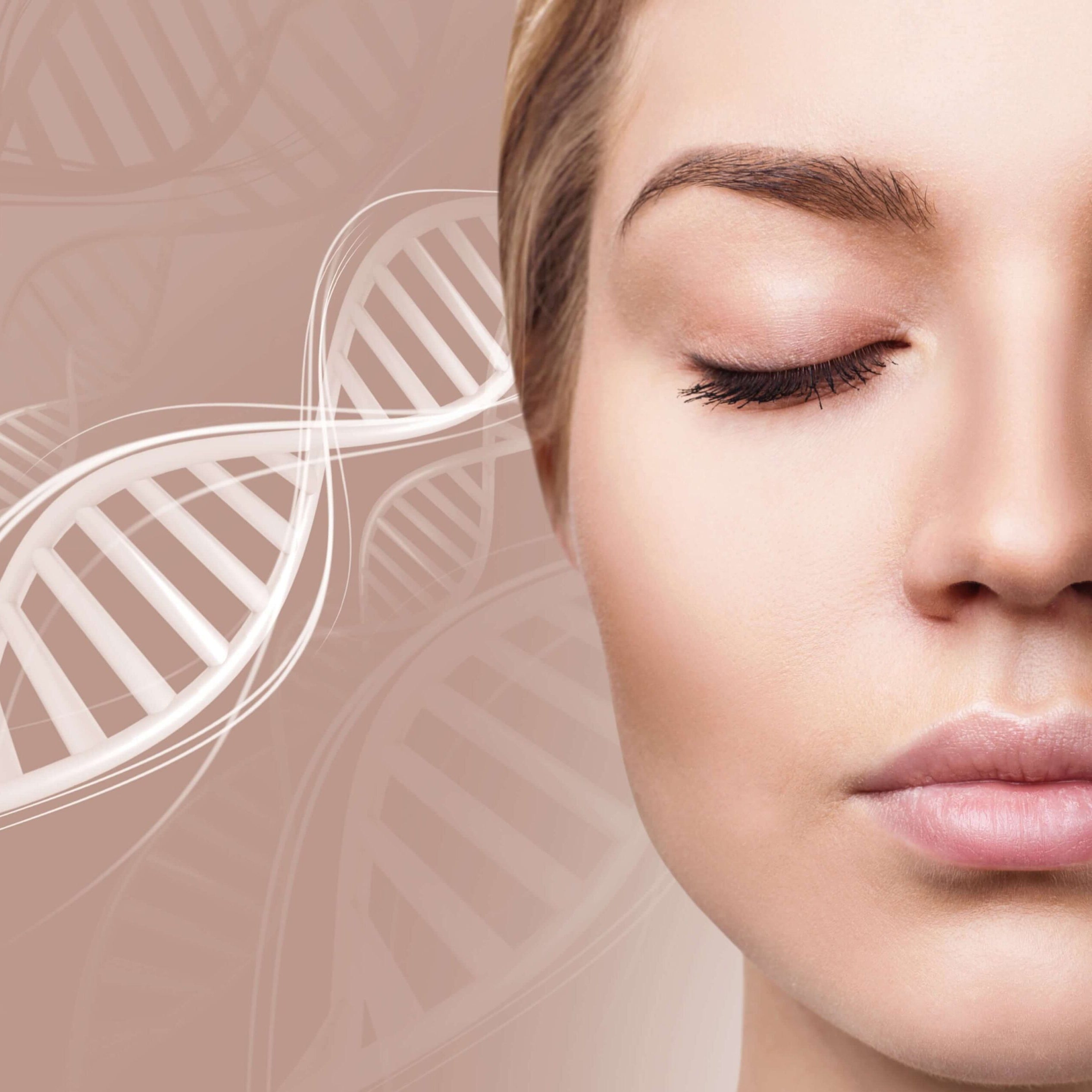 Understanding the Mechanism of Exosomes in Cellular Communication and Regeneration